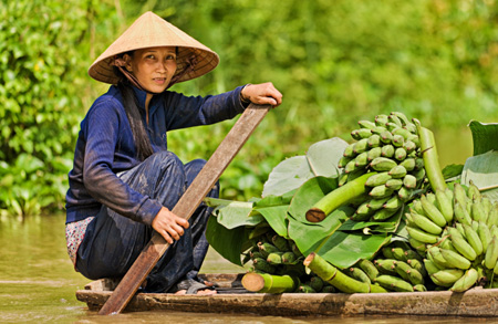 vietnam vietnam