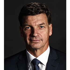 Angus-Taylor