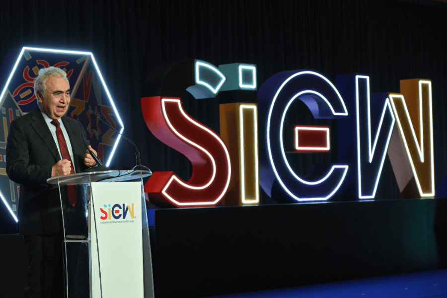 Key Features of Iea Fatih Birol