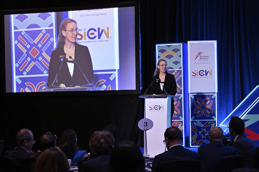 Key Features of Main Sophie