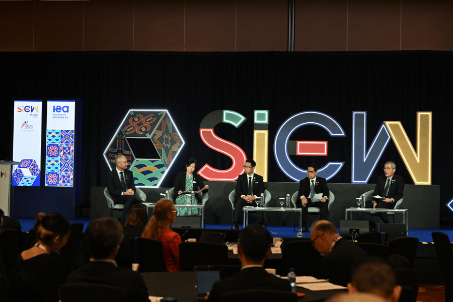 Key Features of Sg Irena 2