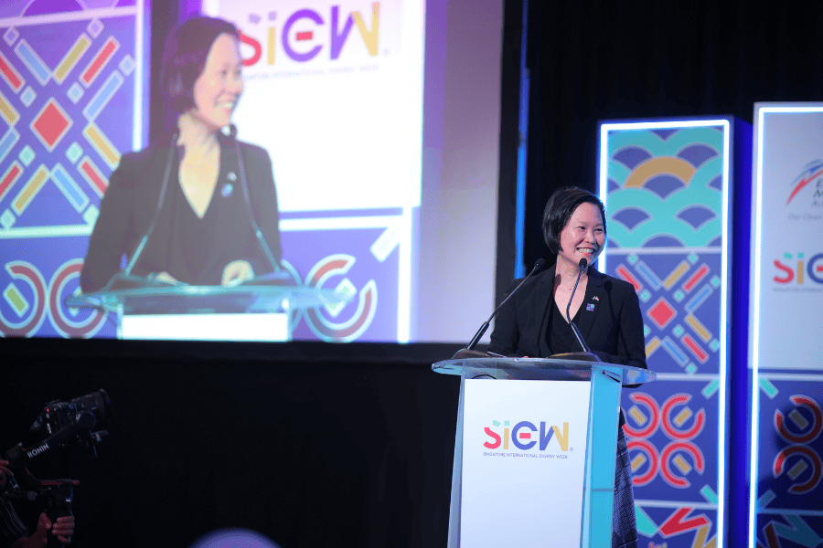 Key Features of Sg Sw 3