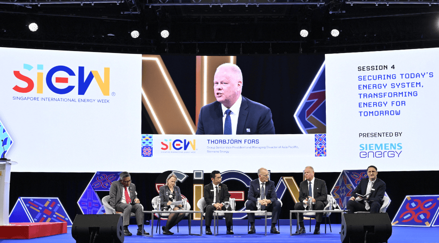 Key Features of Thorbjoorn Fors