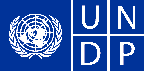 undp logo