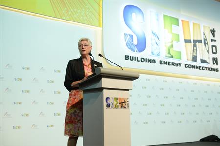 International Energy Agency (IEA)