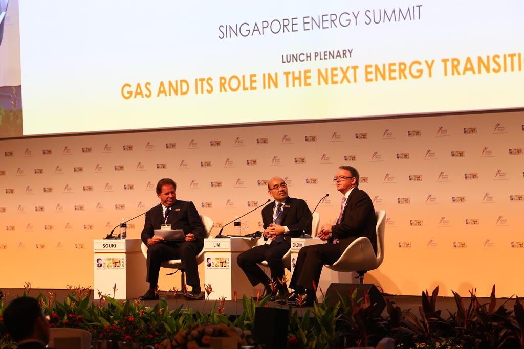 Panellists at the lunch plenary