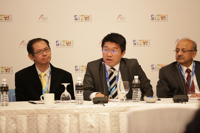 Energy Studies Institute