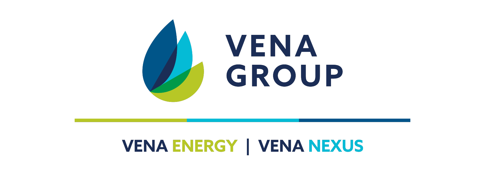 Vena Group