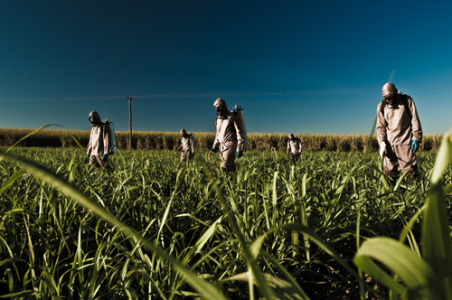 istock 0