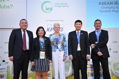 ASEAN-EIA