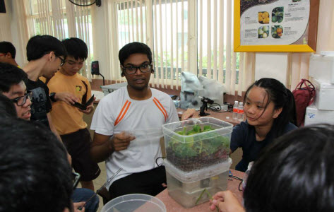 aquaponics-1 aquaponics-1