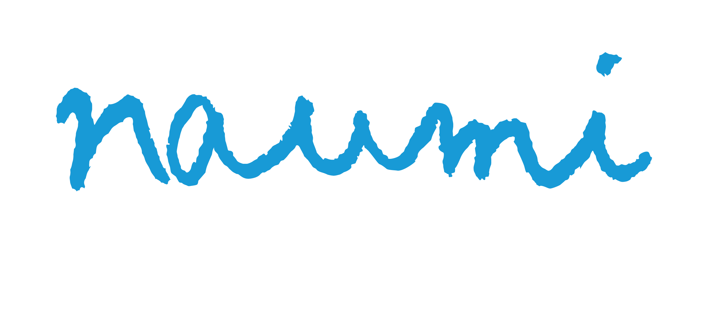 NaumiHotels_Singapore_Logo (White text)