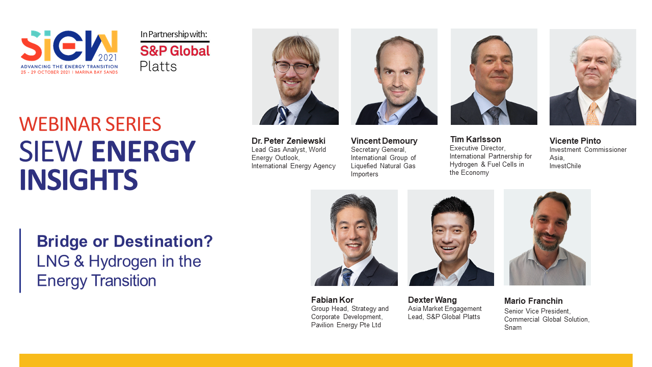 SIEW Energy Insights June Group Speaker Banner [no CTA]