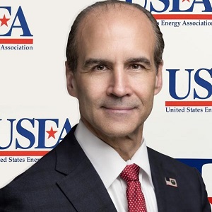 Hon. Mark W. Menezes