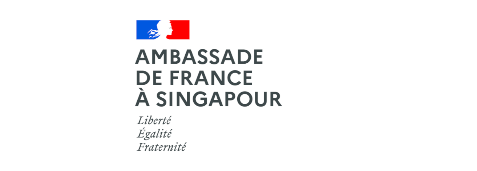 French Embassy